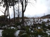 雪の降る地域