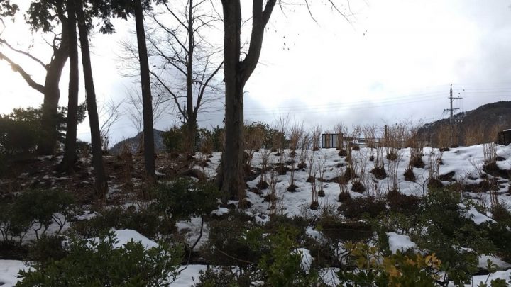 ツーリングの旅-岩手・八幡平アスピーテライン編-