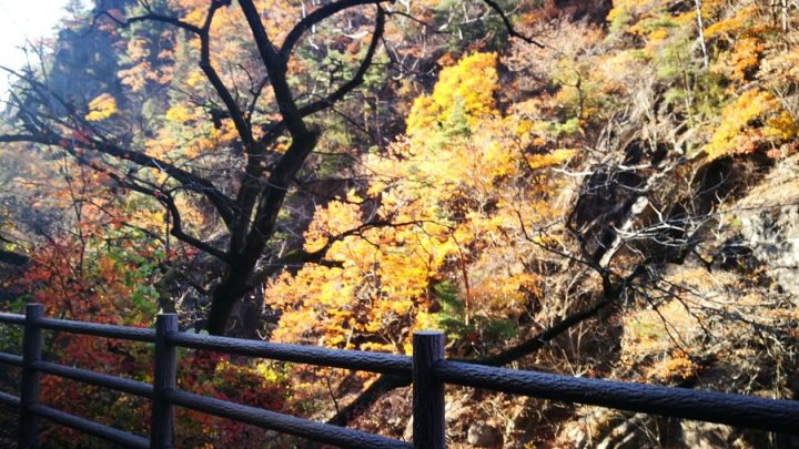 ツーリングの旅-山形・鳥海ブルーライン編-