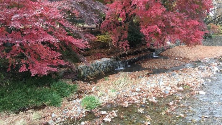 ツーリングの旅-福島・磐梯吾妻レークライン編-