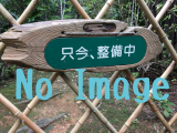 ツーリングの旅-北海道・二十間道路の「桜並木」