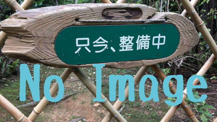 ツーリングの旅-北海道・二十間道路の「桜並木」