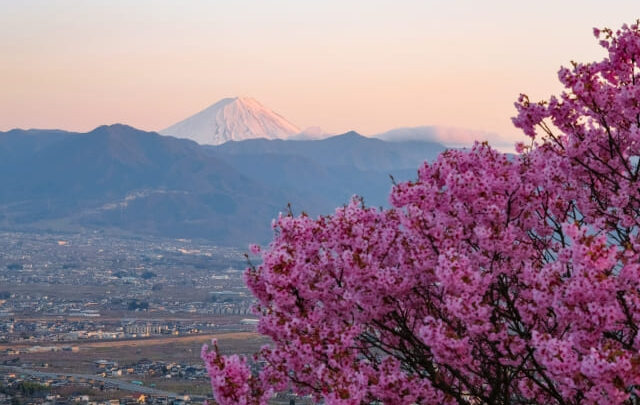 ツーリングの旅-山梨・フルーツライン編-